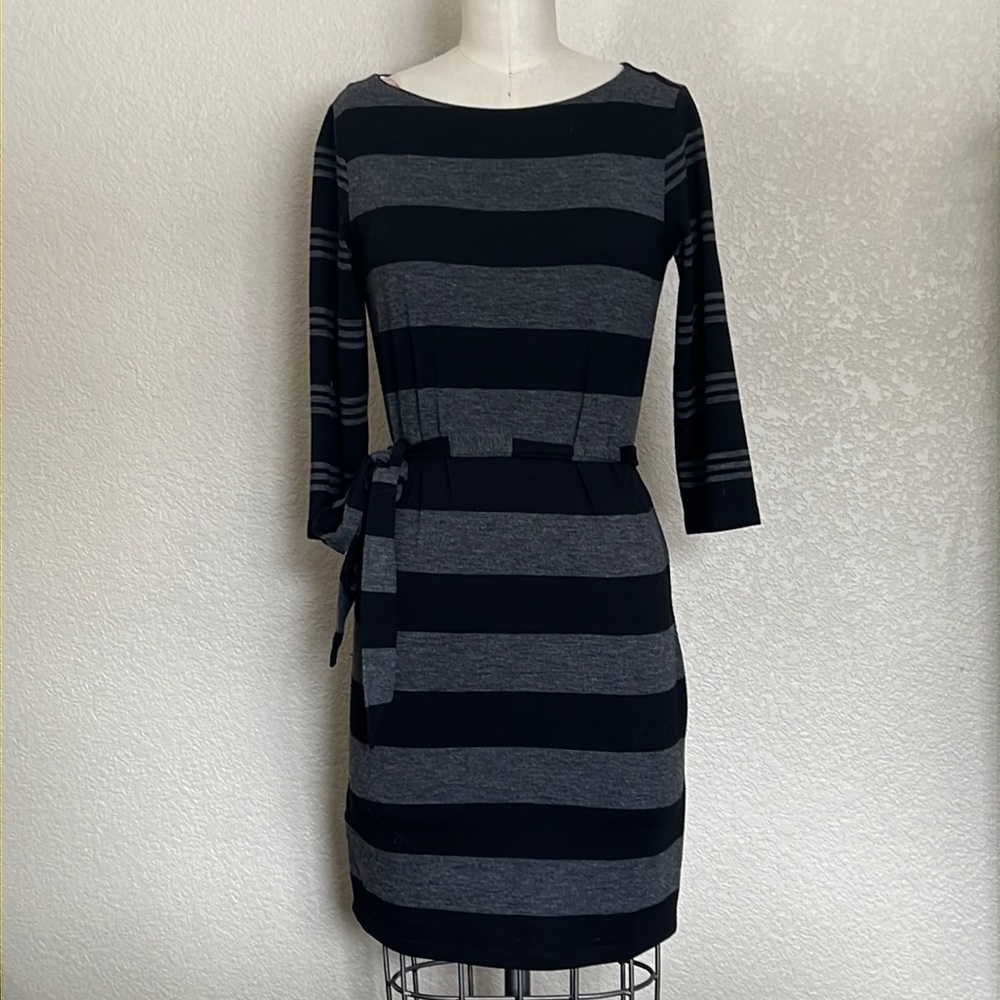 Ann Taylor Loft Striped long Sleeve Dress